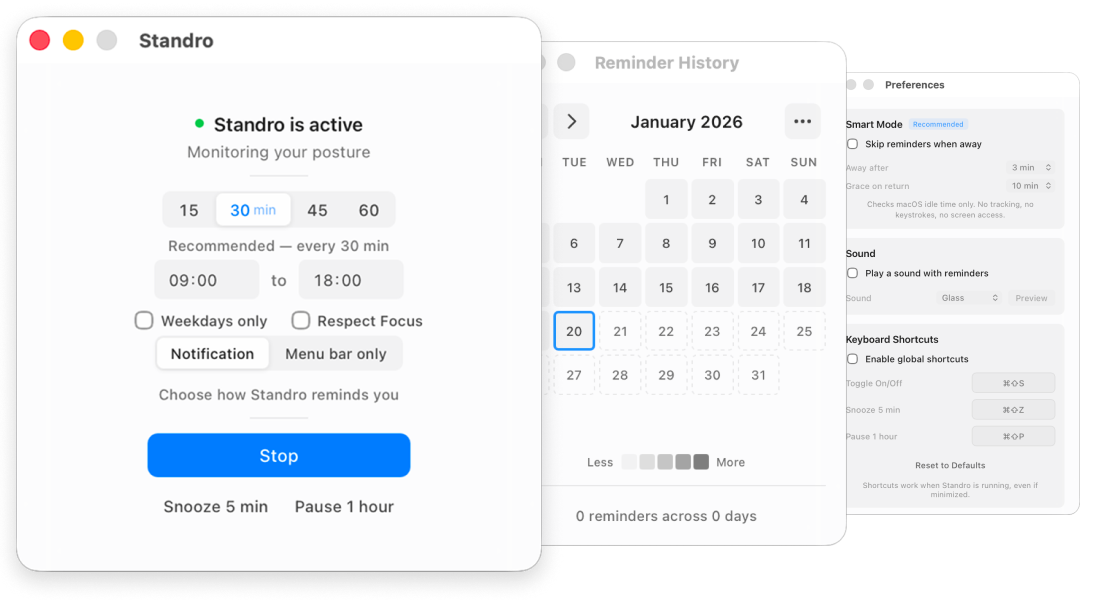 Standro app interface showing the main window, reminder history calendar, and preferences panel